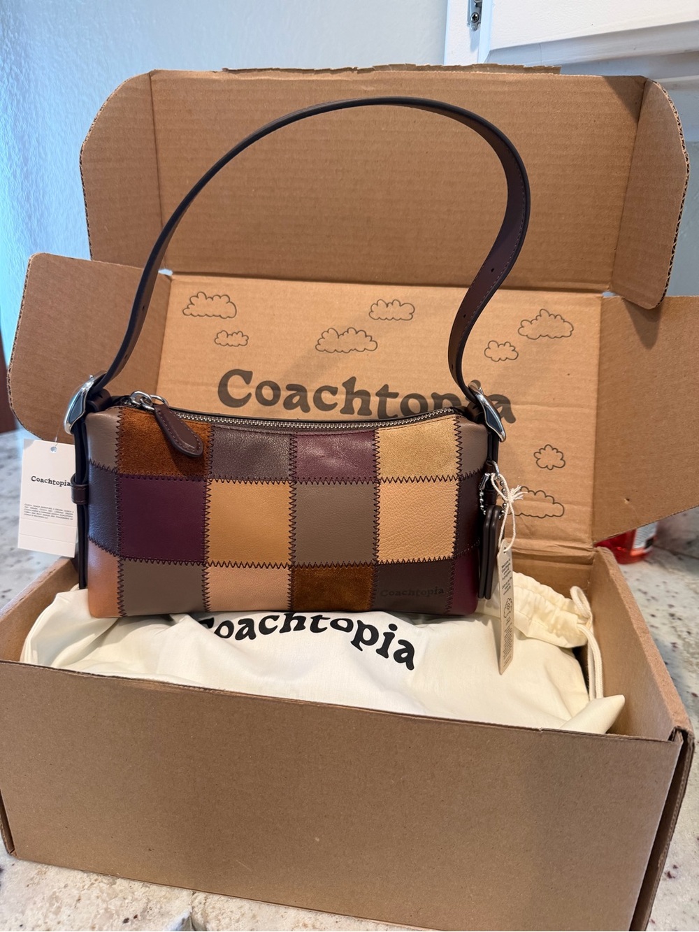 Coachtopia Alter/Ego Small Slouchy Shoulder Bag